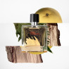 Orelyparis|Hermès Terre d’Hermès – Eau de Parfum 200 mlHermès Terre d’HermèsHERMESHerrenparfüm