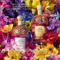 Guerlain Aqua Allegoria Florabloom – Eau de Toilette Guerlain Aqua Allegoria Florabloom – Eau de Toilette