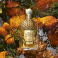 Guerlain Aqua Allegoria Forte Mandarin Basil – Eau de Parfum